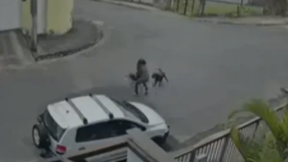 Homem enfrenta pitbull e evita tragédia durante ataque em MG