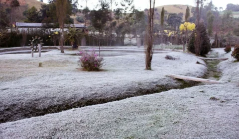 Frio continua em Minas e geada pode surpreender; veja como fica o tempo na sua região