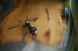 Caminhão carregado de soja tomba ao perder força em ladeira em Diadema