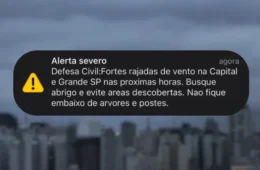 ALERTA AGORA: Defesa Civil emite aviso severo para ventania em São Paulo; rajadas podem chegar a 90 km/h