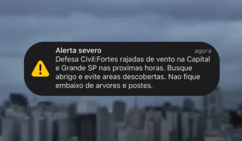 ALERTA AGORA: Defesa Civil emite aviso severo para ventania em São Paulo; rajadas podem chegar a 90 km/h
