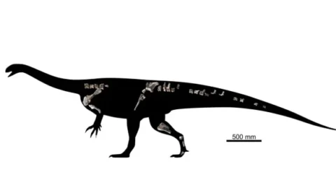 O que um fóssil encontrado na África revela sobre os primeiros dinossauros? Nova espécie surpreende cientistas