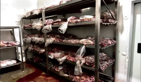 Carnes impróprias? Empresa é multada após fiscalização do Ministério Público em Minas