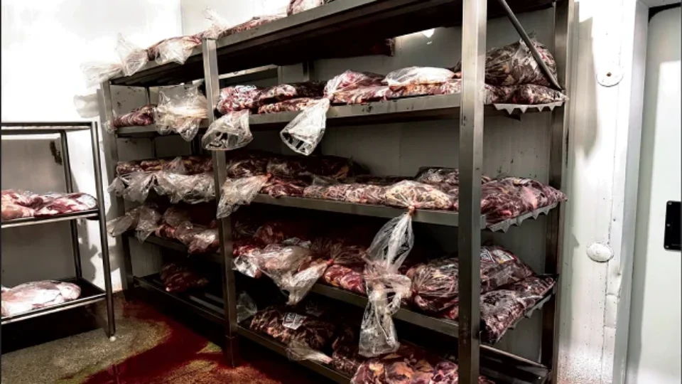 Carnes impróprias? Empresa é multada após fiscalização do Ministério Público em Minas