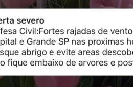 ALERTA AGORA: Defesa Civil emite aviso severo para ventania em São Paulo; rajadas podem chegar a 90 km/h