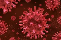 Dois novos casos de cura do HIV são anunciados; descoberta renova esperança da ciência