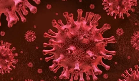 Dois novos casos de cura do HIV são anunciados; descoberta renova esperança da ciência