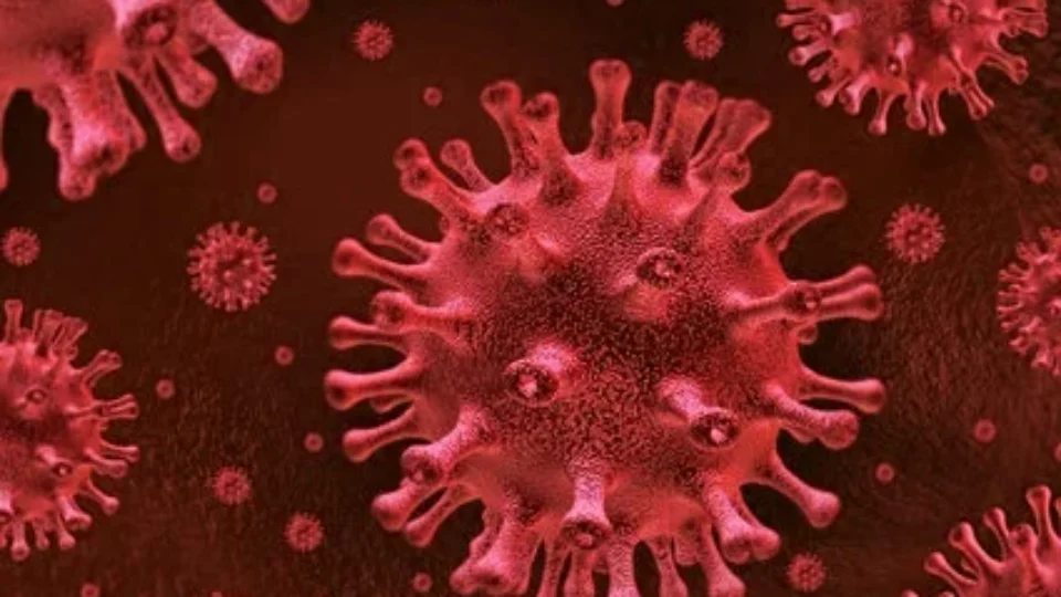 Dois novos casos de cura do HIV são anunciados; descoberta renova esperança da ciência