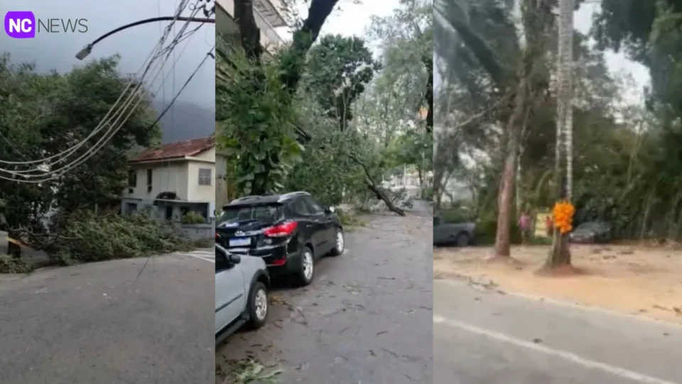 Ventos acima de 100 km/h provocam destruição e deixam mais de 500 mil sem energia no Rio de Janeiro