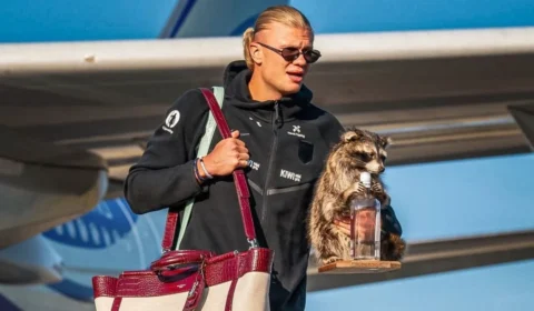 Guaxinim de pelúcia de Haaland vira símbolo pós-Mundial