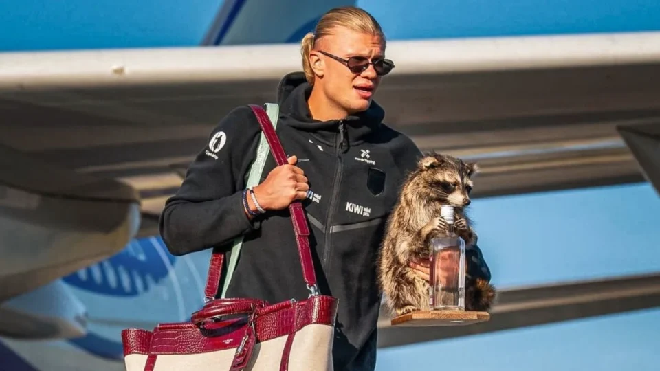 Guaxinim de pelúcia de Haaland vira símbolo pós-Mundial