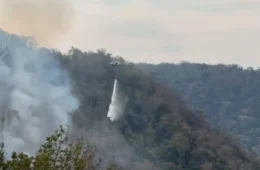 Defesa Civil de SP põe regiões em emergência por incêndios