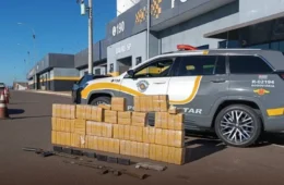 Mulher é presa com 158 kg de pasta base de cocaína e fuzis na Rodovia Castelo Branco, no interior de SP