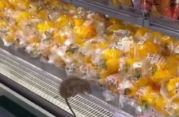 Vídeo mostra rato circulando entre verduras em supermercado de Salvador e gera revolta nas redes