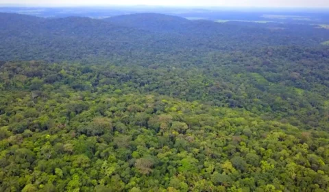 TCU apura possível irregularidade em negociação de créditos de carbono no Acre
