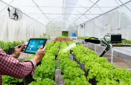 Conselho Monetário Nacional libera R$ 10 bilhões para acelerar inovação tecnológica no agronegócio; saiba os projetos contemplados
