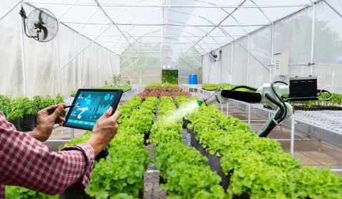 Conselho Monetário Nacional libera R$ 10 bilhões para acelerar inovação tecnológica no agronegócio; saiba os projetos contemplados