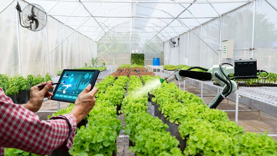Conselho Monetário Nacional libera R$ 10 bilhões para acelerar inovação tecnológica no agronegócio; saiba os projetos contemplados
