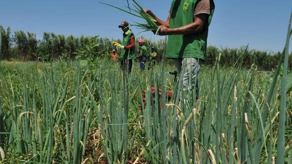Receita Federal alerta produtores rurais: prazo para regularizar pendências termina na sexta-feira