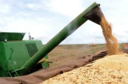 Sua ideia pode ganhar o mundo: programa internacional busca jovens inovadores do agro
