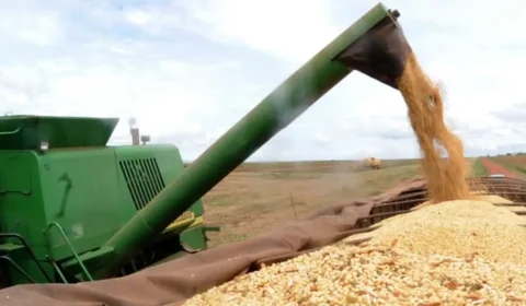 Sua ideia pode ganhar o mundo: programa internacional busca jovens inovadores do agro