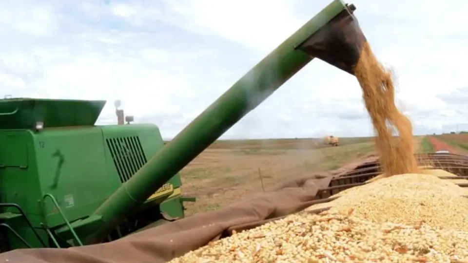 Sua ideia pode ganhar o mundo: programa internacional busca jovens inovadores do agro