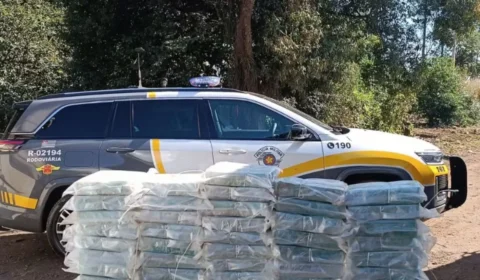 Carga de cocaína avaliada em R$ 3,2 milhões é apreendida em SP