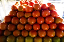 Preço do tomate cai 15,85% nas Ceasas e exportações de frutas brasileiras avançam no primeiro semestre