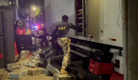 PRF apreende mais de três toneladas de maconha em MG; carga também escondia eletrônicos e anabolizantes