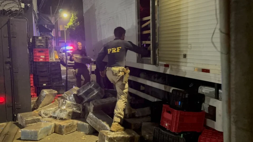 PRF apreende mais de três toneladas de maconha em MG; carga também escondia eletrônicos e anabolizantes