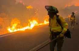 Vídeo: Incêndio florestal na Espanha mata 12 pessoas em Almería; vítimas foram encontradas dentro de carros e estrada virou armadilha