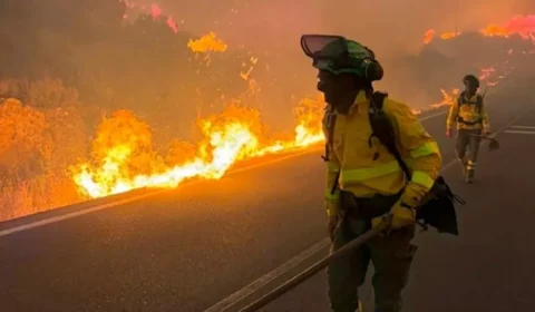 Vídeo: Incêndio florestal na Espanha mata 12 pessoas em Almería; vítimas foram encontradas dentro de carros e estrada virou armadilha