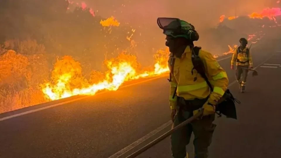 Vídeo: Incêndio florestal na Espanha mata 12 pessoas em Almería; vítimas foram encontradas dentro de carros e estrada virou armadilha