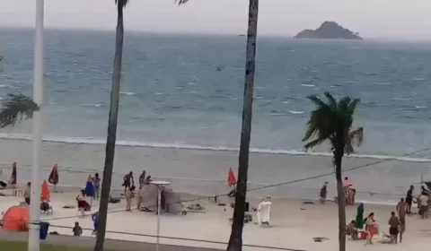 Homem morre após árvore cair durante ventania de 111 km/h no litoral de SP