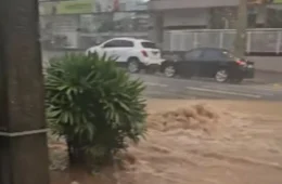 Mais de mil pessoas estão fora de casa no Rio Grande do Sul devido às fortes chuvas