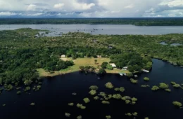 Projeto fortalece bioeconomia amazônica com protagonismo do povo Sateré-Mawé