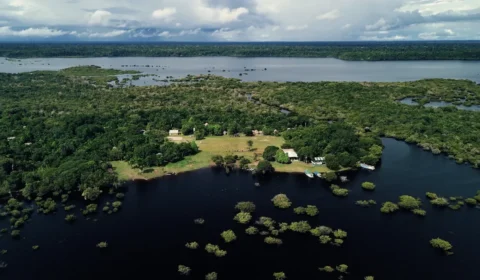 Projeto fortalece bioeconomia amazônica com protagonismo do povo Sateré-Mawé