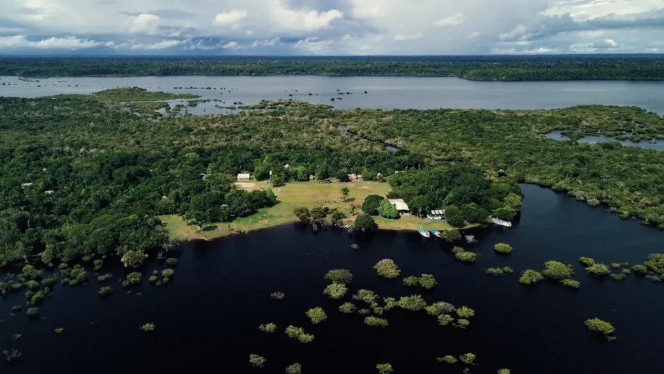Projeto fortalece bioeconomia amazônica com protagonismo do povo Sateré-Mawé