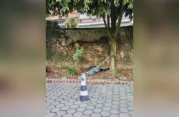 Corpo de mulher é encontrado amarrado no estacionamento de UBS na zona sul de São Paulo; DHPP investiga o caso