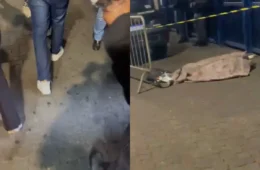 Morte em frente à Estação Santana chama atenção; polícia investiga o que aconteceu com homem em situação de rua