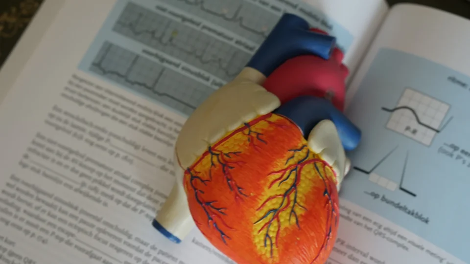Colesterol genético tem cura? Doença triplica o risco de infarto e preocupa médicos