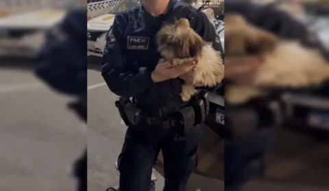 Trio é preso após Parada LGBT+ em Brasília; polícia recupera 22 celulares e encontra cachorro em carro