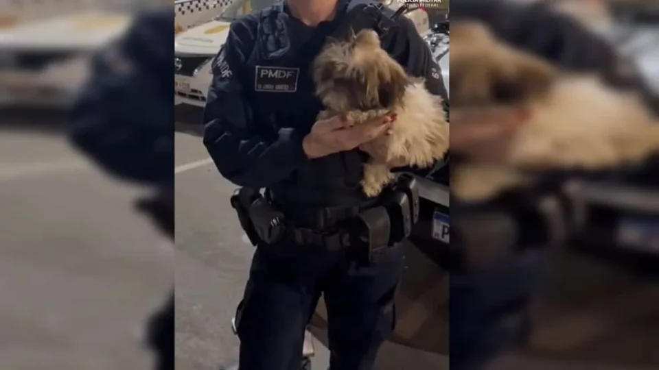 Trio é preso após Parada LGBT+ em Brasília; polícia recupera 22 celulares e encontra cachorro em carro