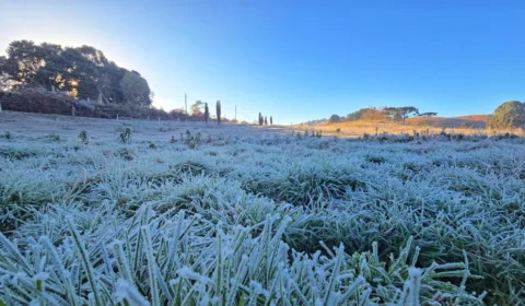 Trégua acaba: nova frente fria avança e volta a derrubar as temperaturas em Santa Catarina