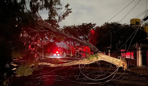 Caos no RJ: população sofre com os ventos e cidade é devastada; confira vídeos