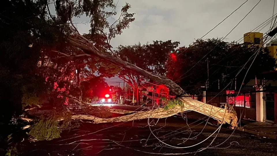 Caos no RJ: população sofre com os ventos e cidade é devastada; confira vídeos
