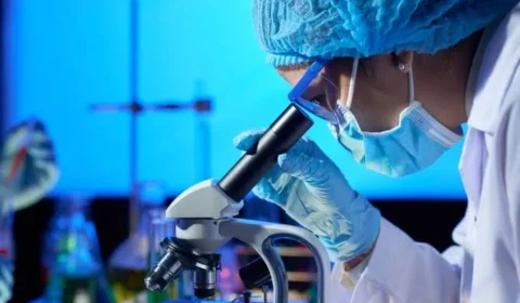Pesquisa da Unicamp pode mudar o tratamento da calvície; técnica também abre caminho para ajudar pacientes com câncer