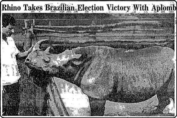 Foto de Cacareco ilustra o The New York Times 