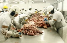 Carne pode ficar mais barata? Entenda por que exportações para a China entraram em alerta