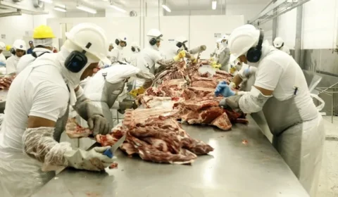 Carne pode ficar mais barata? Entenda por que exportações para a China entraram em alerta